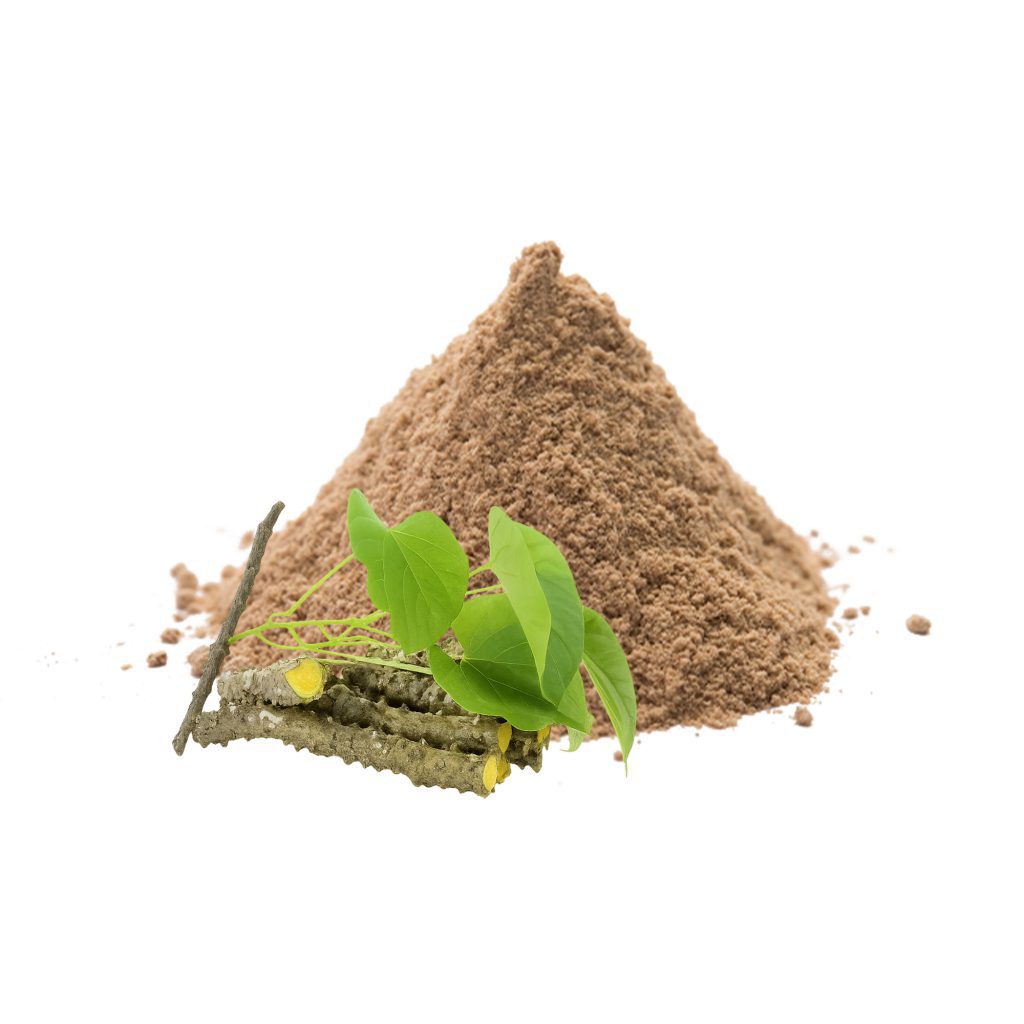 GILOY POWDER