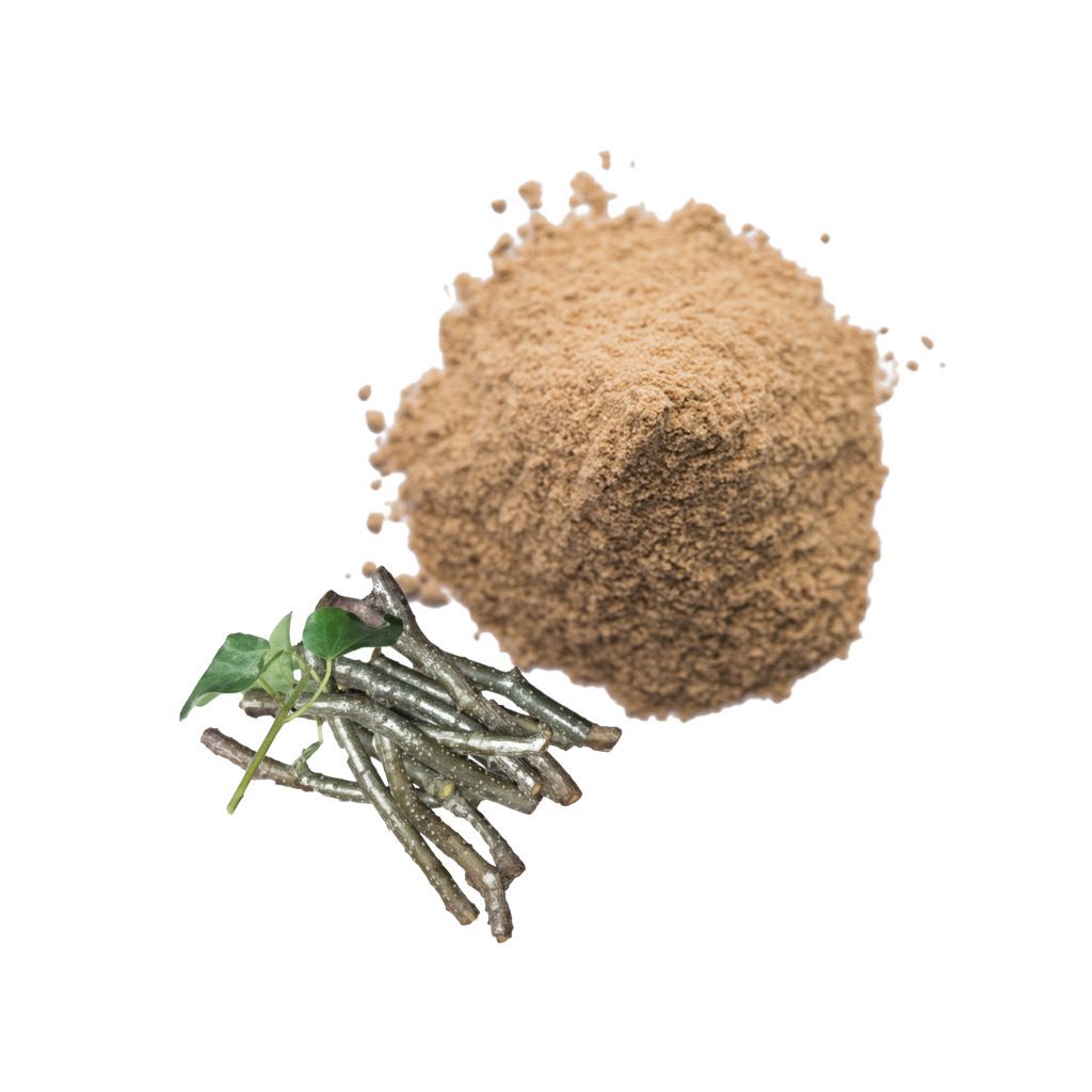 GILOY POWDER