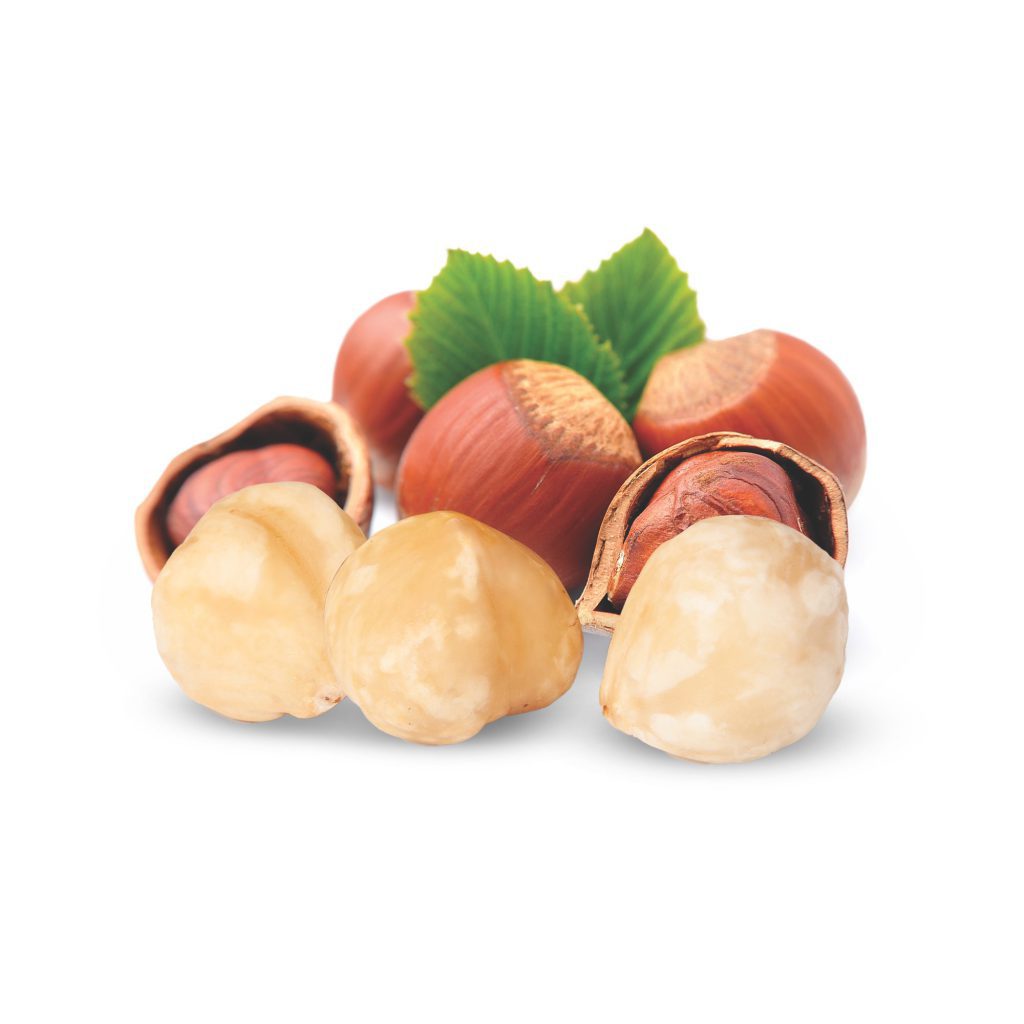 HAZELNUT
