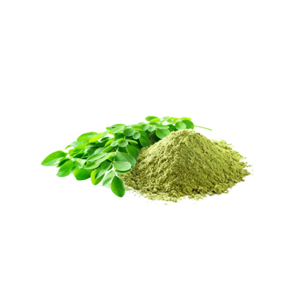 MORINGA LEAVES POWDER