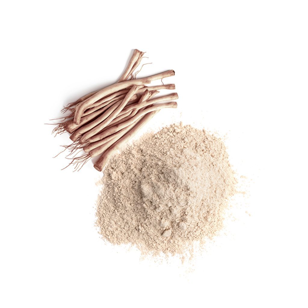 SHATAVARI ROOTS POWDER