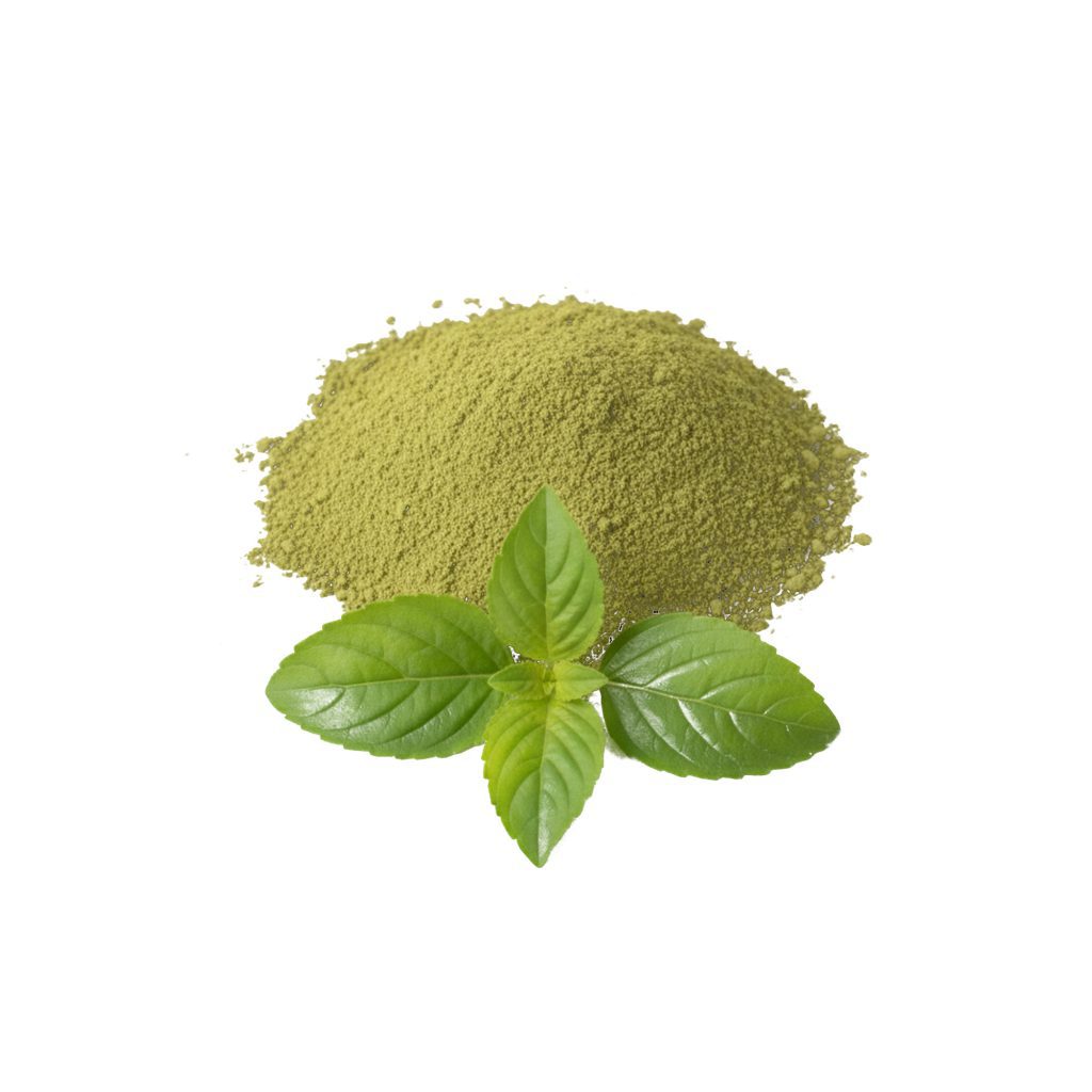 TULSI POWDER